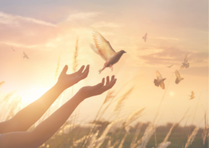 Esperança para os dias que estão por vir…