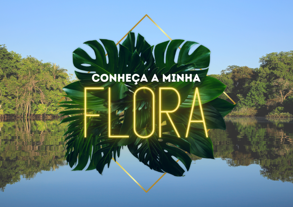 Amazônia, a minha Flora!